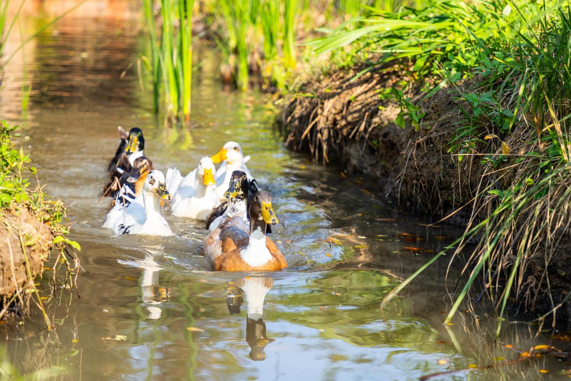 Hungili Farm & Eco Resort Maho Zewnętrze zdjęcie